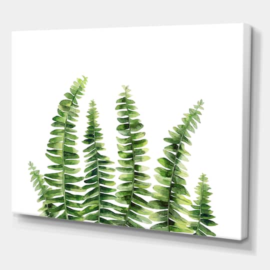 Designart - Fern Leaves Detail II